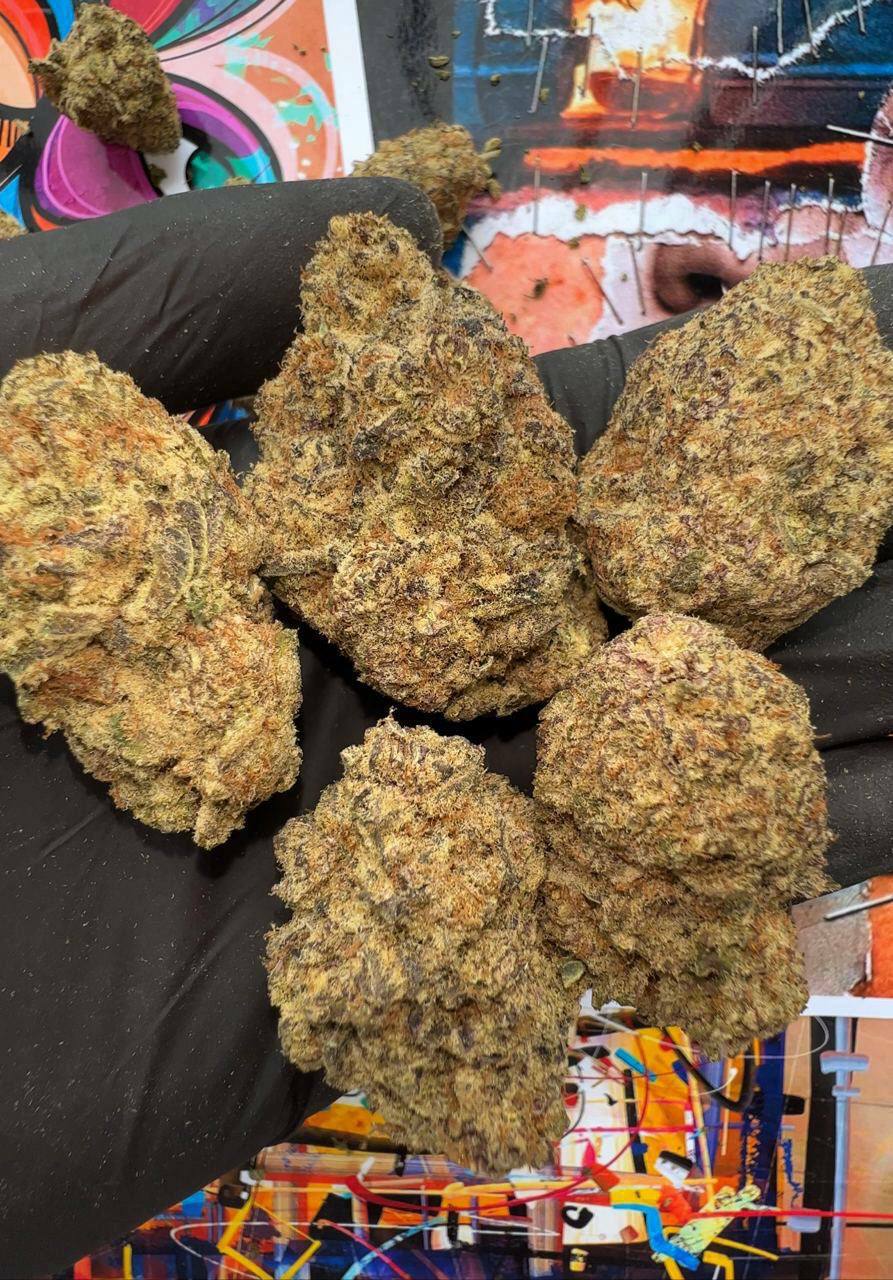 Mua Ma Túy Trực Tuyến: Không Để Lại Dấu Vết